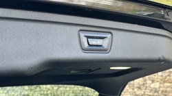 2021 (21) BMW 3 SERIES 320i M Sport Touring 5244318