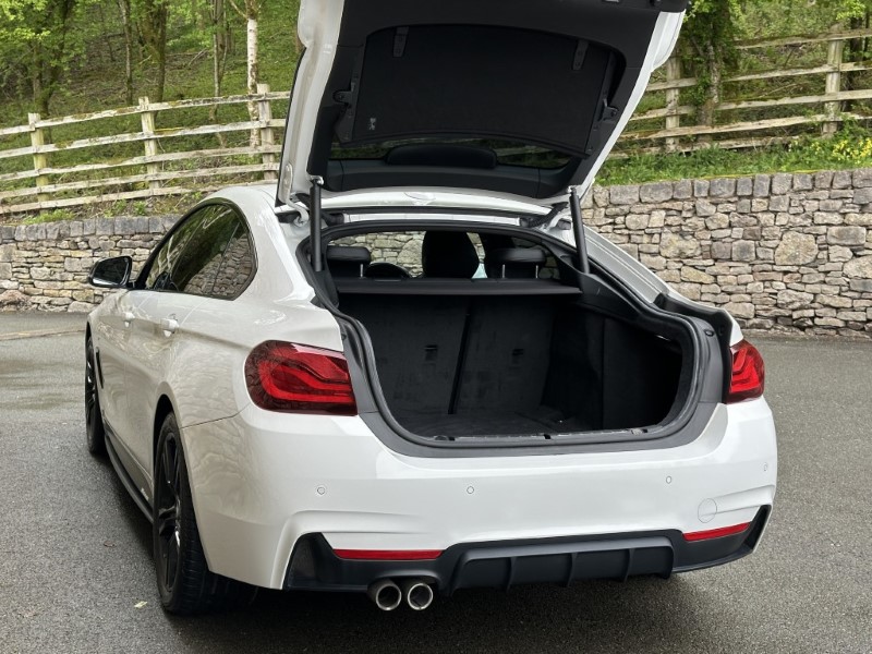 2020 (20) BMW 4 SERIES 420i M Sport 5dr [Professional Media] 5304251