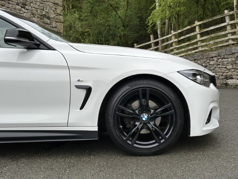 2020 (20) BMW 4 SERIES 420i M Sport 5dr [Professional Media] 5304309