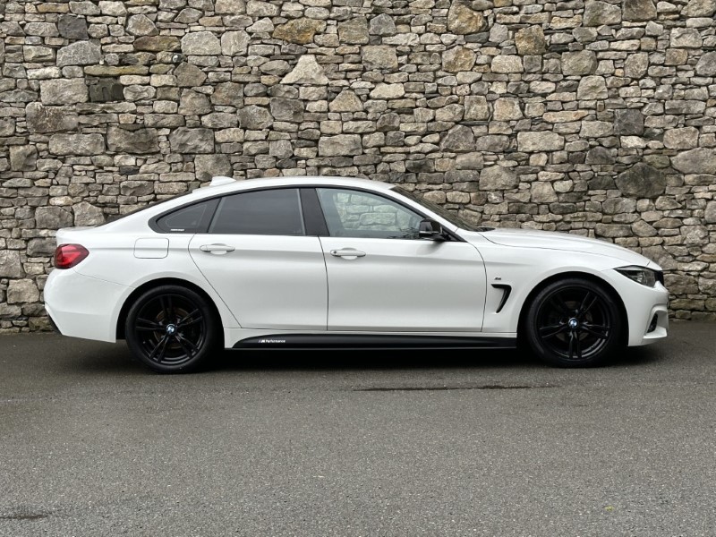 2020 (20) BMW 4 SERIES 420i M Sport 5dr [Professional Media] 5304245