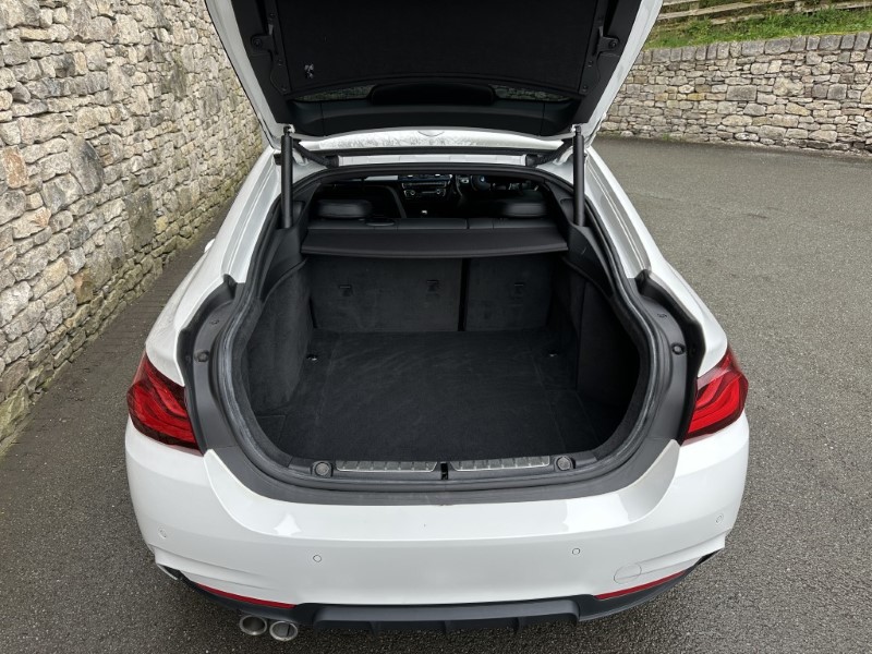 2020 (20) BMW 4 SERIES 420i M Sport 5dr [Professional Media] 5304252