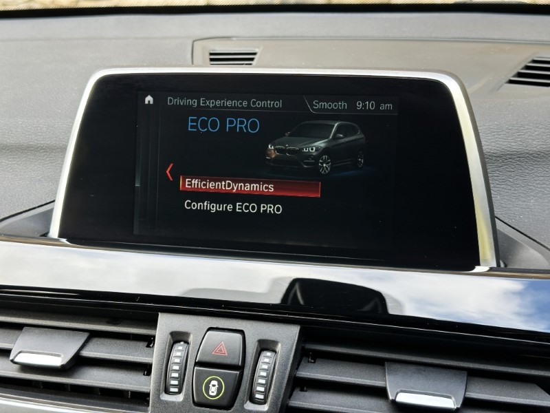 2019 (19) BMW X1 xDrive 18d xLine 5dr  5299070