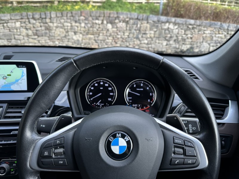 2019 (19) BMW X1 xDrive 18d xLine 5dr  5299066