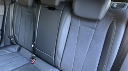 2024 (24) AUDI A4 40 TFSI 204 Black Edition 5dr S Tronic 5352071