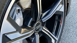 2024 (24) AUDI A4 40 TFSI 204 Black Edition 5dr S Tronic 5352095