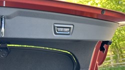 2023 (23) BMW 4 SERIES M440i xDrive MHT Gran Coupe 5331341