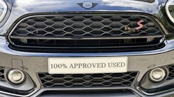2023 (73) MINI COUNTRYMAN 2.0 Cooper S Sport 5557033