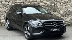 2019 (19) MERCEDES-BENZ GLC 250 4Matic Urban Edition 5dr 9G-Tronic 5652483