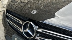 2019 (19) MERCEDES-BENZ GLC 250 4Matic Urban Edition 5dr 9G-Tronic 5652449