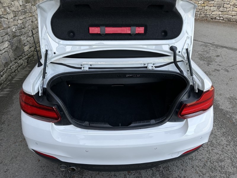 2019 (19) BMW 2 SERIES 220i M Sport Convertible  5925123