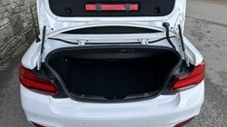 2019 (19) BMW 2 SERIES 220i M Sport Convertible 5925123