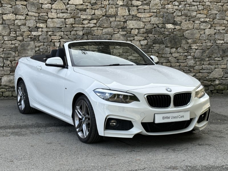 2019 (19) BMW 2 SERIES 220i M Sport Convertible 