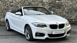 2019 (19) BMW 2 SERIES 220i M Sport Convertible 5925183