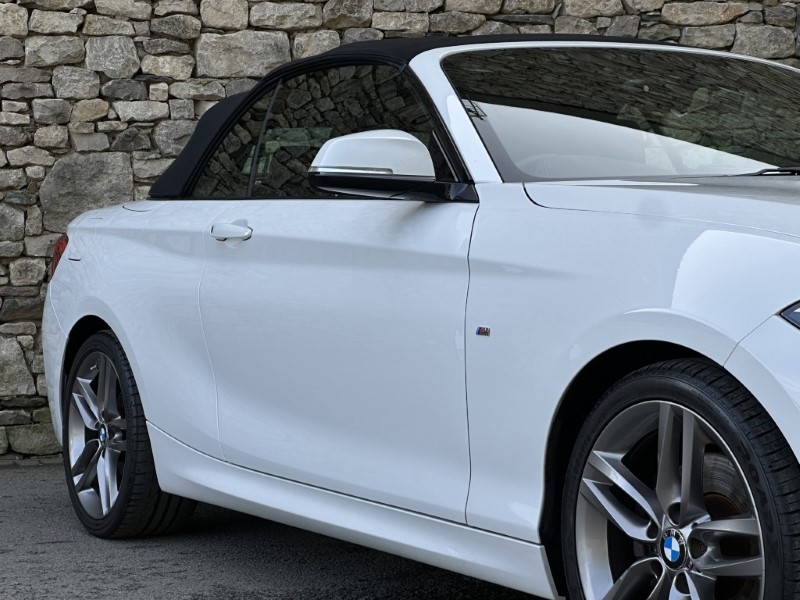 2019 (19) BMW 2 SERIES 220i M Sport Convertible  5925181
