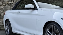 2019 (19) BMW 2 SERIES 220i M Sport Convertible 5925181
