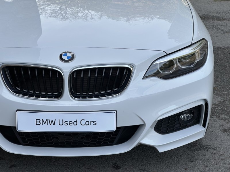 2019 (19) BMW 2 SERIES 220i M Sport Convertible  5925141