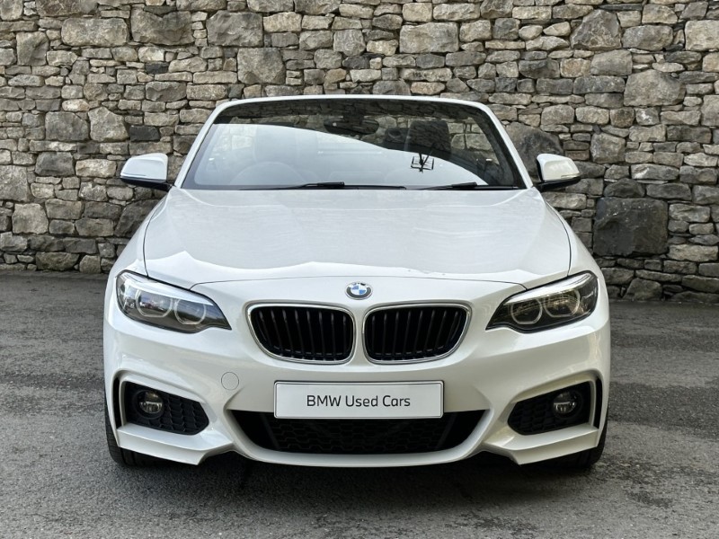 2019 (19) BMW 2 SERIES 220i M Sport Convertible  5925182