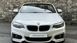2019 (19) BMW 2 SERIES 220i M Sport Convertible 5925182