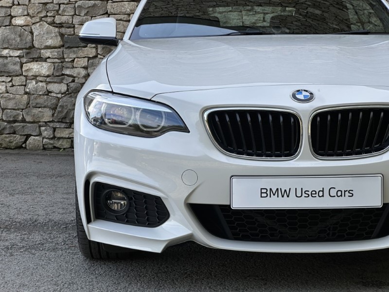 2019 (19) BMW 2 SERIES 220i M Sport Convertible  5925174