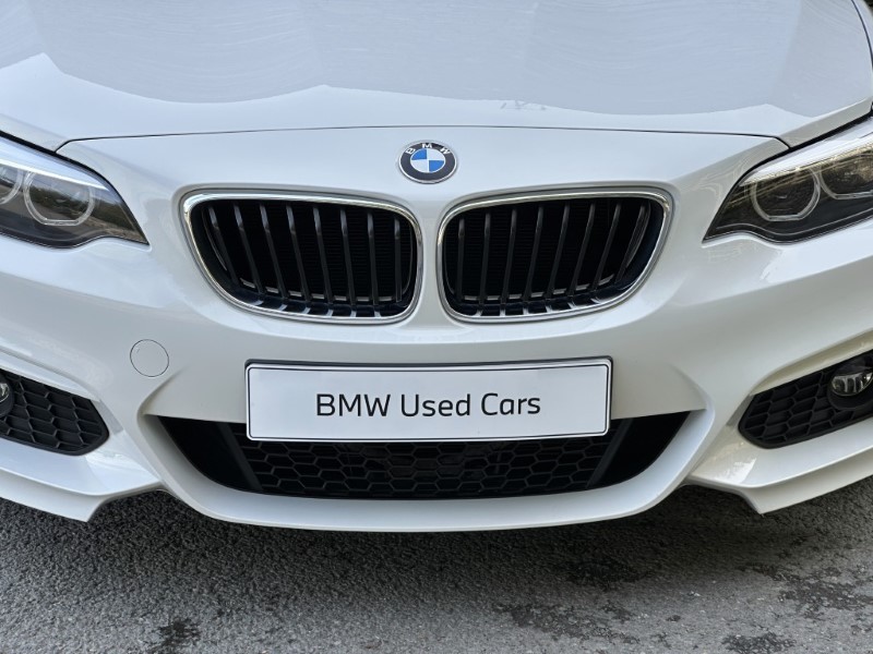 2019 (19) BMW 2 SERIES 220i M Sport Convertible  5925175