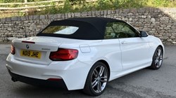 2019 (19) BMW 2 SERIES 220i M Sport Convertible 5925177