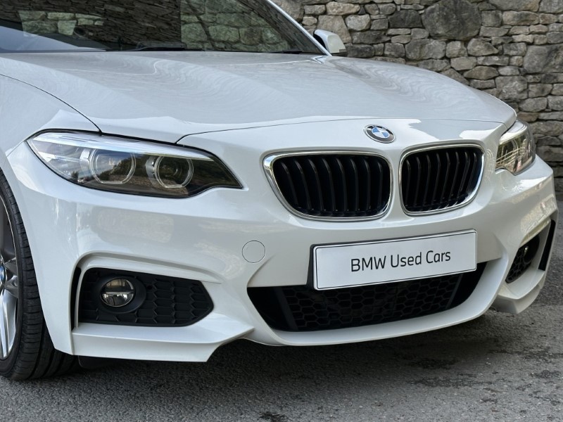 2019 (19) BMW 2 SERIES 220i M Sport Convertible  5925173