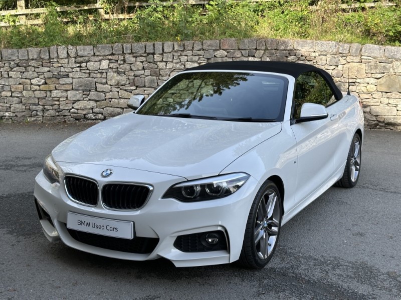 2019 (19) BMW 2 SERIES 220i M Sport Convertible  5925168