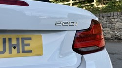 2019 (19) BMW 2 SERIES 220i M Sport Convertible 5925122