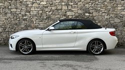 2019 (19) BMW 2 SERIES 220i M Sport Convertible 5925143