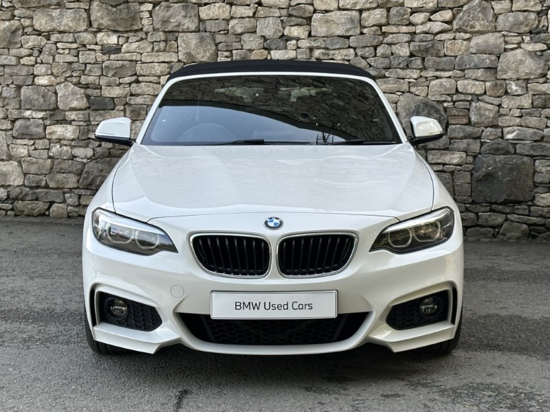 2019 (19) BMW 2 SERIES 220i M Sport Convertible  5925171