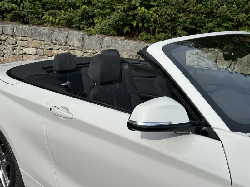 2019 (19) BMW 2 SERIES 220i M Sport Convertible  5925195