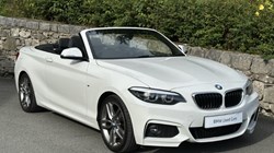 2019 (19) BMW 2 SERIES 220i M Sport Convertible 5925194