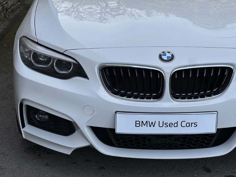 2019 (19) BMW 2 SERIES 220i M Sport Convertible  5925140