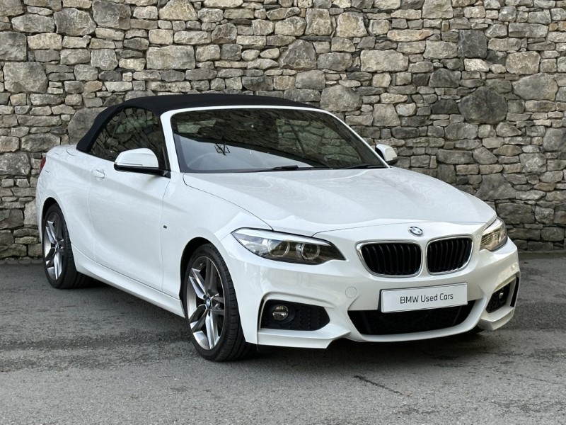 2019 (19) BMW 2 SERIES 220i M Sport Convertible  5925172