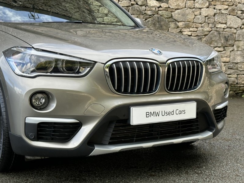 2019 (69) BMW X1 xDrive 20d xLine 5dr  5949619