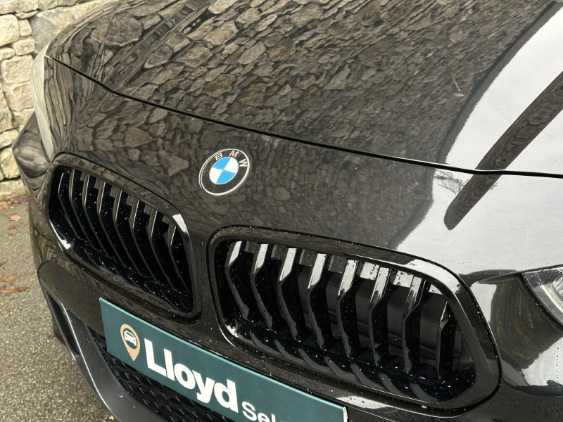 2019 (19) BMW X2 sDrive 20i M Sport 5dr  5965860