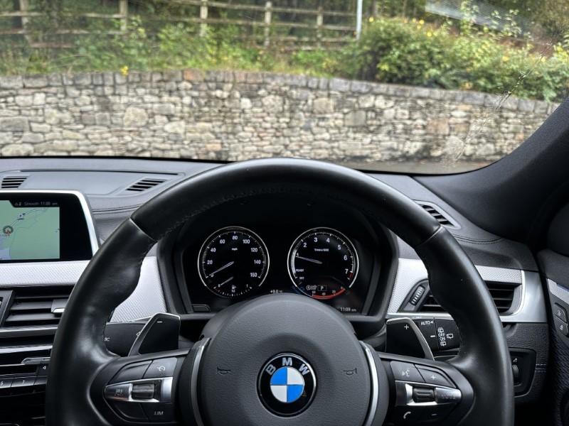 2019 (19) BMW X2 sDrive 20i M Sport 5dr  5965873