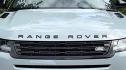 LAND ROVER RANGE ROVER EVOQUE 2.0 D200 Hoxton Edition 5dr Auto 5495050