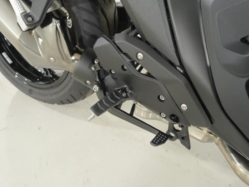 2025 (75) BMW Motorrad R1300 R SE (25MY) 5655406