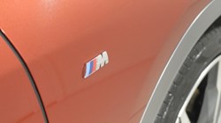 2019 (69) BMW X2 xDrive 20d M Sport X 5dr Step Auto 5848364