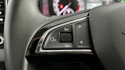 2019 (19) SKODA KAROQ 1.6 TDI SE L 5dr DSG 3446975