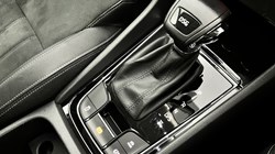 2019 (19) SKODA KAROQ 1.6 TDI SE L 5dr DSG 3446964