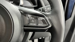 2024 (73) MAZDA 2 1.5 e-Skyactiv G MHEV Exclusive-Line 5dr 3497127