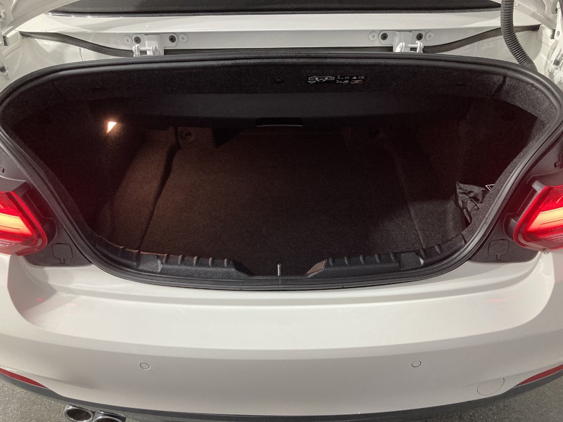 2020 (70) BMW 2 SERIES 220i M Sport 2dr [Nav] Step Auto 3566978