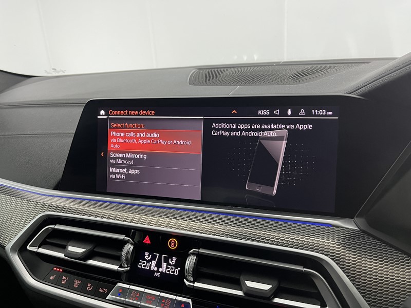 2020 (70) BMW X6 xDrive40i M Sport 5dr Step Auto 5213581