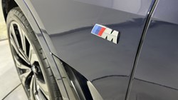 2024 (24) BMW X7 xDrive40d MHT M Sport 5dr Step Auto 5263168