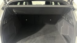 2024 (24) BMW X1 sDrive 20i MHT M Sport 5dr Step Auto 5291691