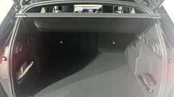 2025 (75) BMW X1 xDrive 25e M Sport 5dr Step Auto 5333803