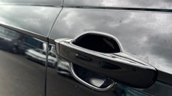 VOLKSWAGEN POLO 1.0 TSI 115 Black Edition 5dr DSG 5340189