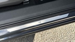 VOLKSWAGEN TIGUAN 1.5 eTSI 150 R-Line 5dr DSG 5823836